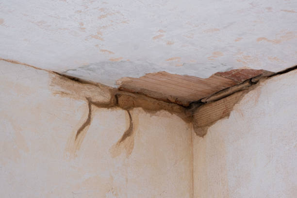 Best Water damage cleanup near me  in Marlow Heights, MD