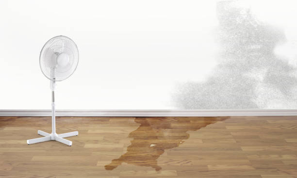 Best Flooded house restoration  in Marlow Heights, MD