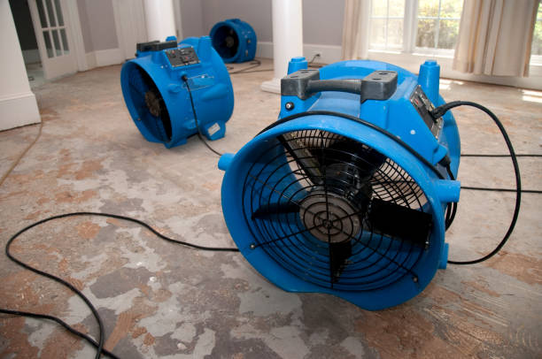 Best Residential water damage restoration  in Marlow Heights, MD
