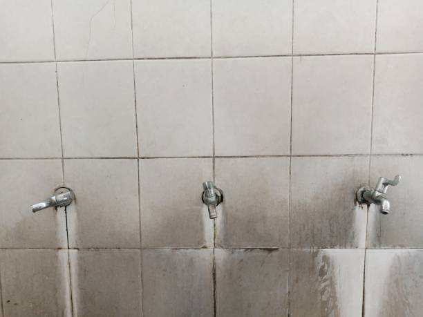 Best Fire Damage Restoration  in Marlow Heights, MD