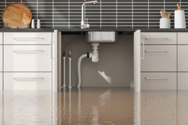 Best Emergency water extraction  in Marlow Heights, MD