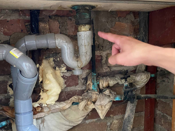 Best Flood damage cleanup  in Marlow Heights, MD