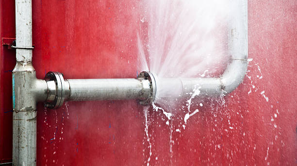 Best Sewage cleanup and water damage restoration  in Marlow Heights, MD